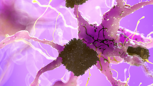 How Bone Loss Can Lead to Memory Loss