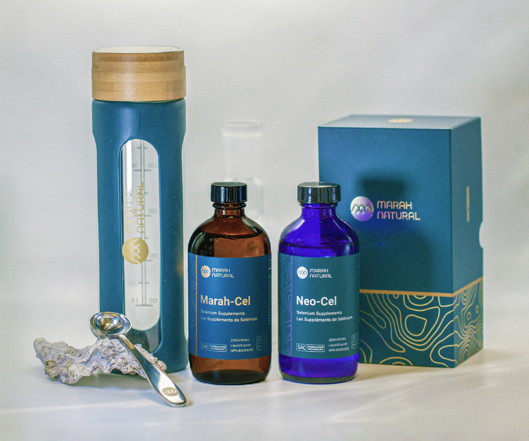Bone Health Bundle