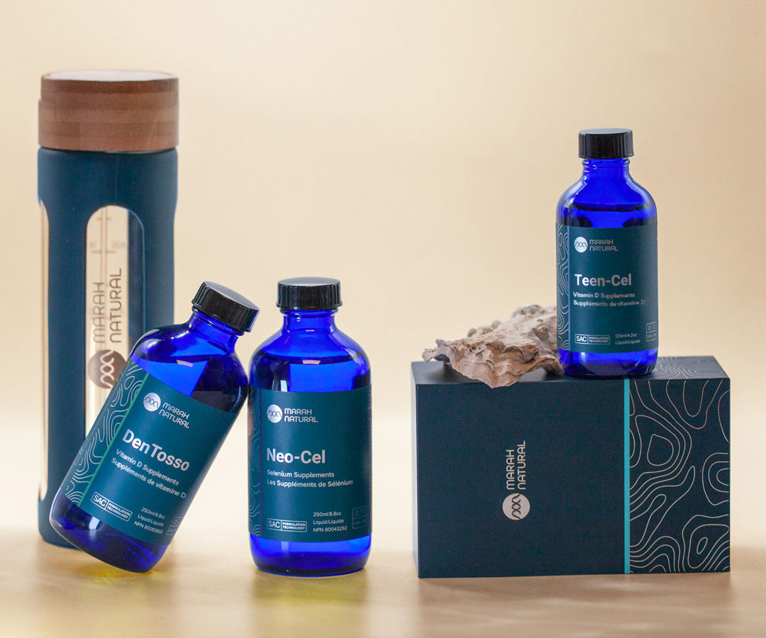 Family Wellness Bundle