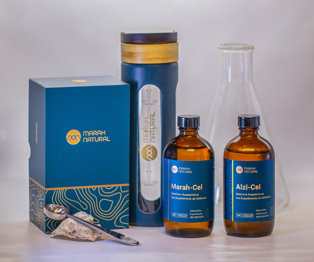 Brain Health Bundle