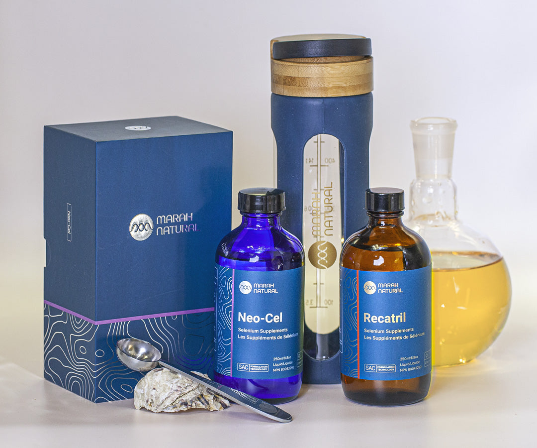 Recovery Bundle