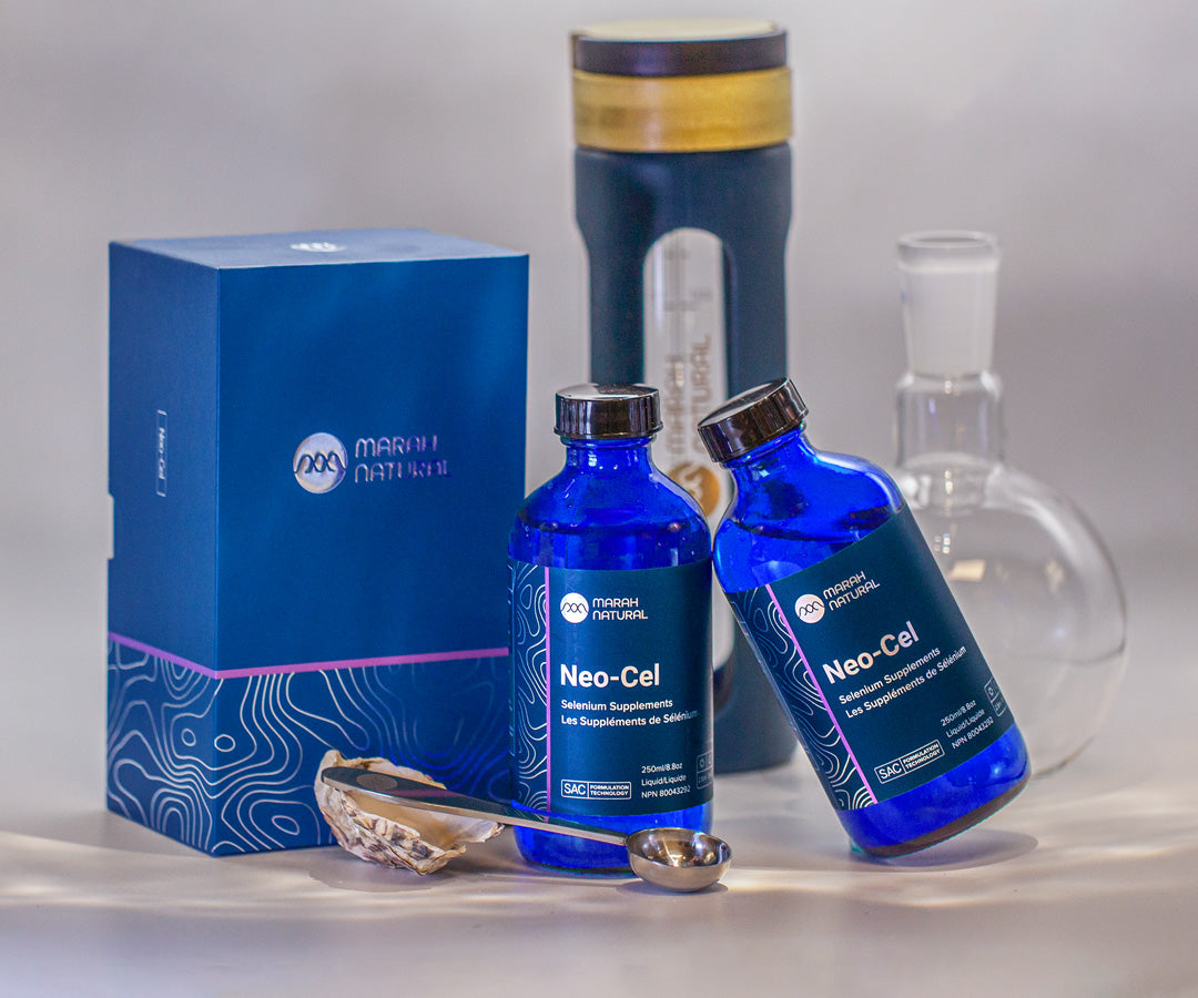 Wellness Maintenance Bundle