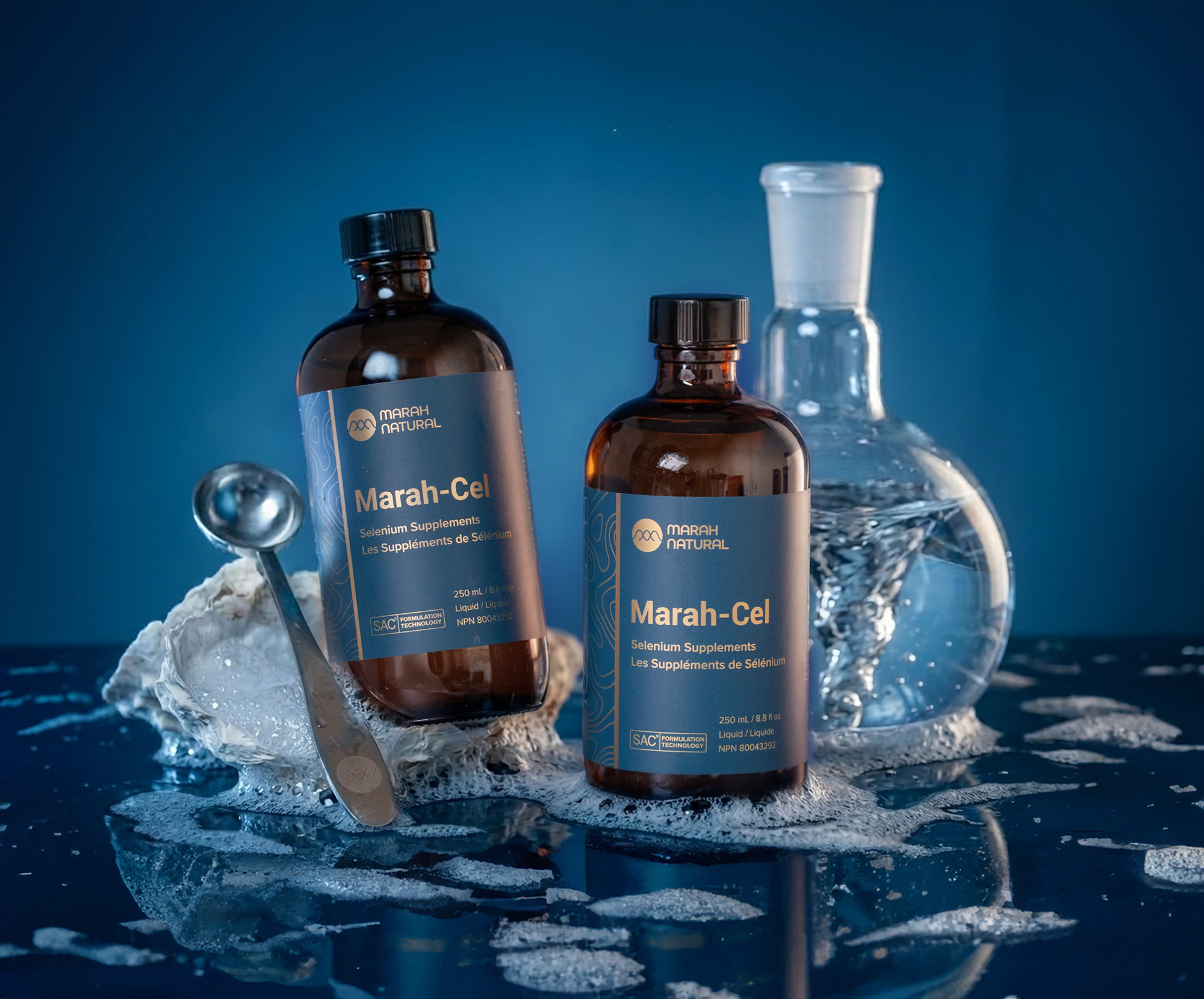 T-score Reference Range -2.5 to -4