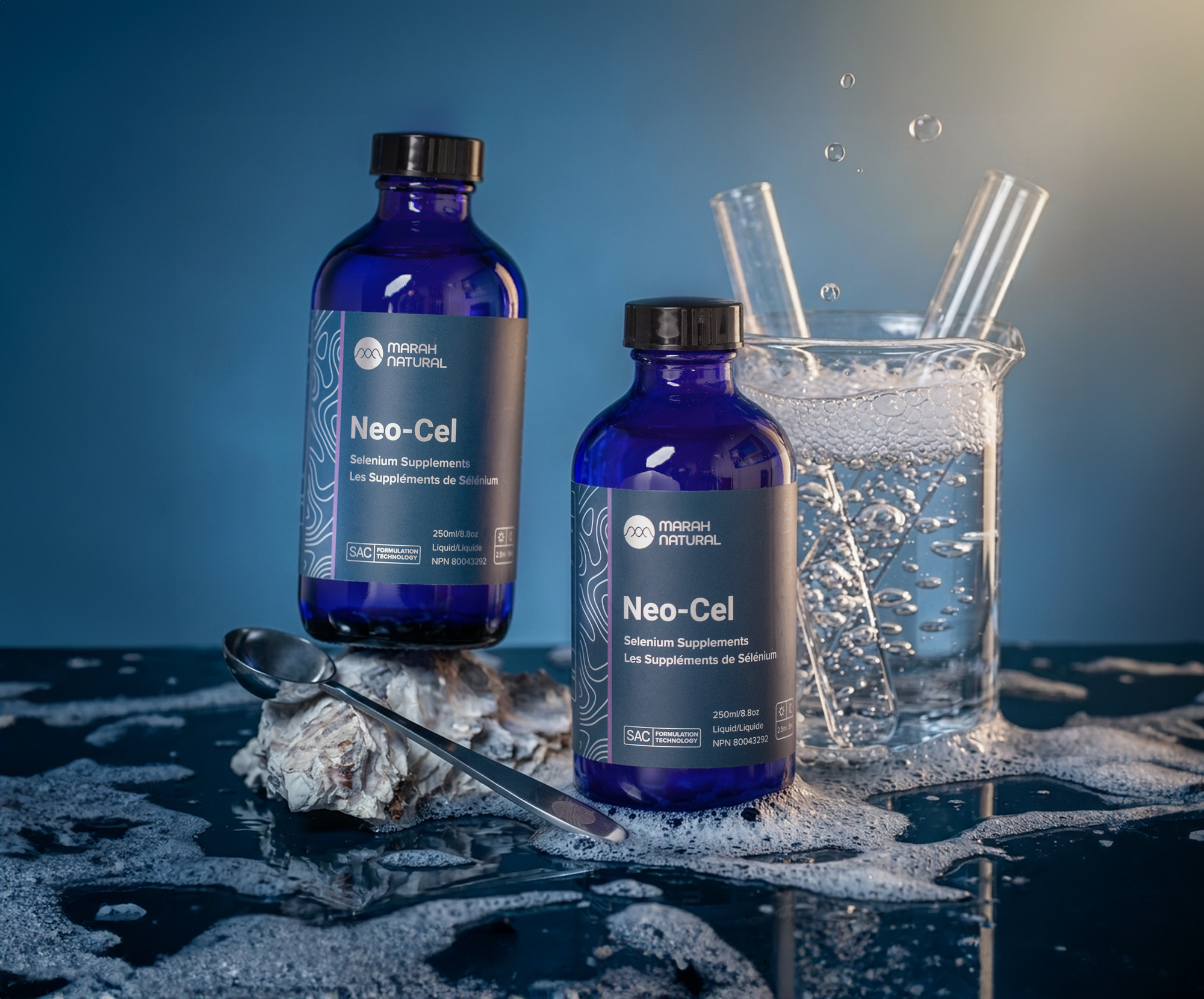 T-score Reference Range +1 to -1